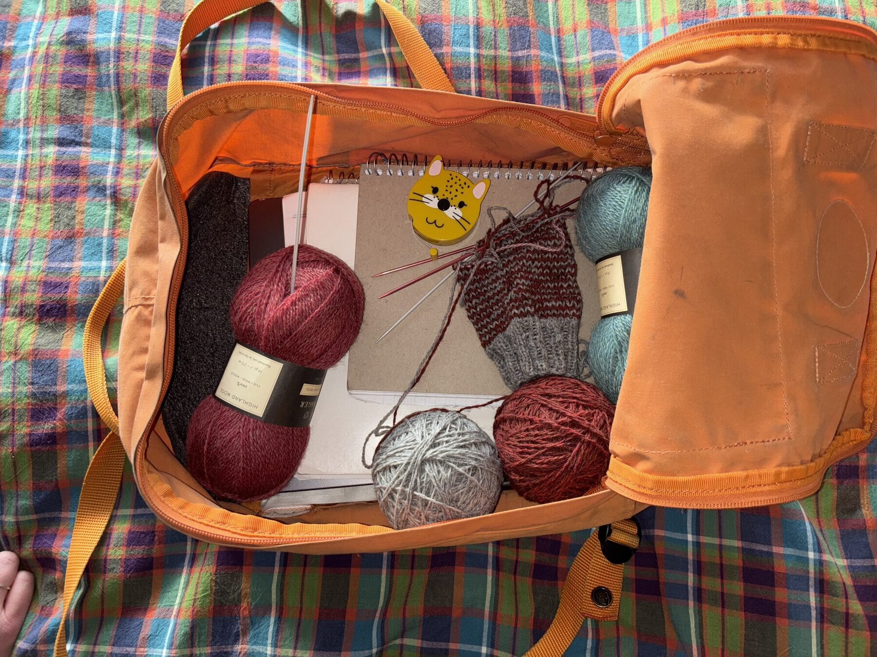 Knitting supplies in bag