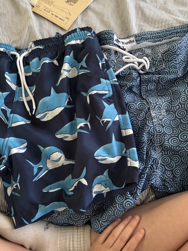 Boardshort source material with dolphin print